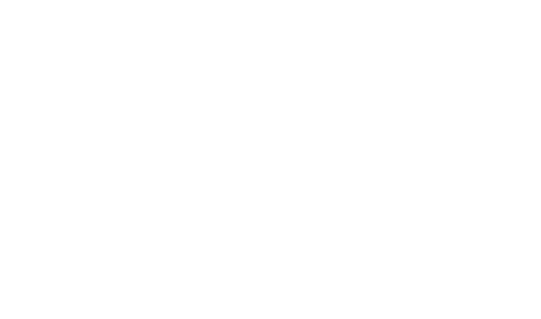 ადვოკატი კონსტანტინე გელაშვილი